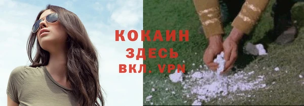 бошки Протвино