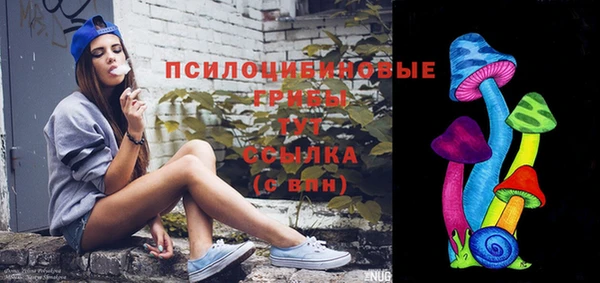 бошки Протвино