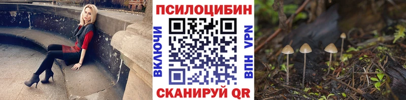 Галлюциногенные грибы MAGIC MUSHROOMS Купить где Долгопрудный