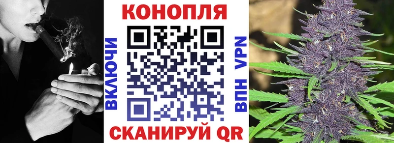 Марихуана семена  Купить закладки  Долгопрудный 